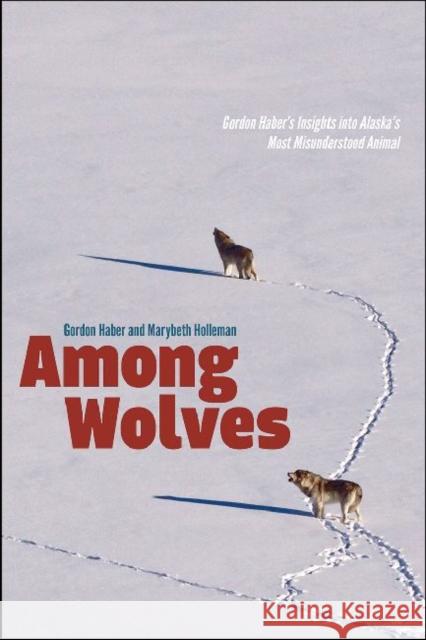 Among Wolves: Gordon Haber's Insights Into Alaska's Most Misunderstood Animal Gordon Haber Marybeth Holleman 9781602232181 University of Alaska Press