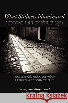 What Stillness Illuminated: Poems in English, Yiddish, and Hebrew Yermiyahu Ahron Taub 9781602350922 Parlor Press