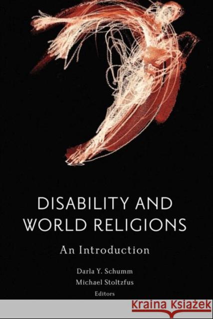 Disability and World Religions: An Introduction Schumm, Darla Y. 9781602587519