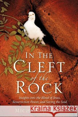 In The Cleft Of The Rock Michael J Webb 9781602663015
