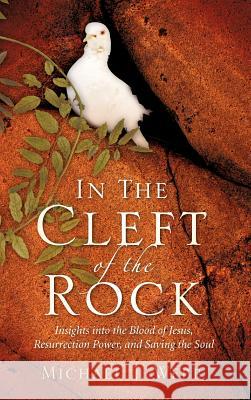 In The Cleft Of The Rock Michael J Webb 9781602663022