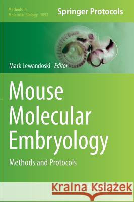 Mouse Molecular Embryology: Methods and Protocols Lewandoski, Mark 9781603272902 Humana Press