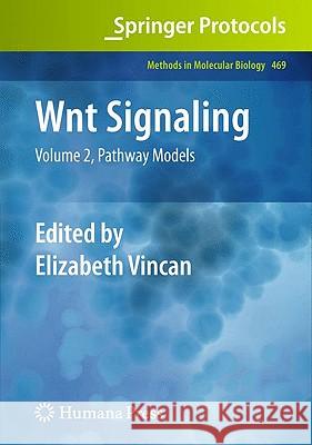 Wnt Signaling: Volume 2, Pathway Models Vincan, Elizabeth 9781603274685 Humana Press