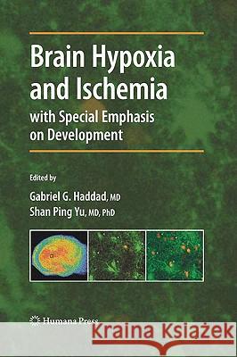 Brain Hypoxia and Ischemia Gabriel G. Haddad Shan Ping Yu 9781603275781 Humana Press