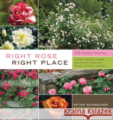 Right Rose, Right Place: 359 Perfect Choices for Beds, Borders, Hedges and Screens, Containers, Fences, Trellises, and More Peter Schneider 9781603424387 