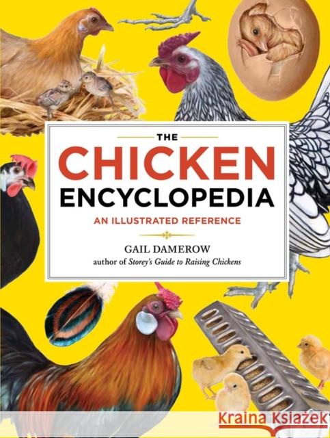 The Chicken Encyclopedia: An Illustrated Reference Damerow, Gail 9781603425612 Storey Publishing
