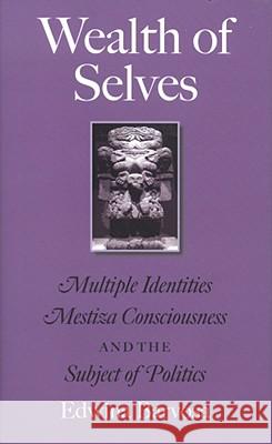 Wealth of Selves: Multiple Identities, Mestiza Consciousness, and the Subject of Politics Edwina Barvosa 9781603440691 Texas A&M University Press