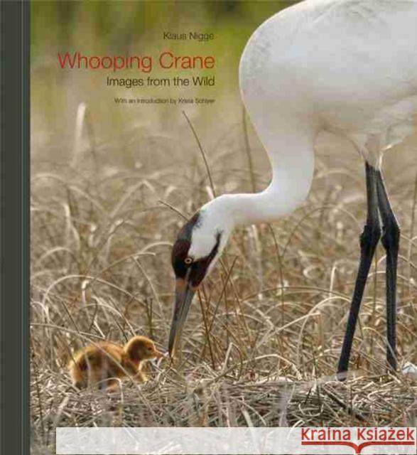 Whooping Crane: Images from the Wild Nigge, Klaus 9781603442091 Texas A&M University Press