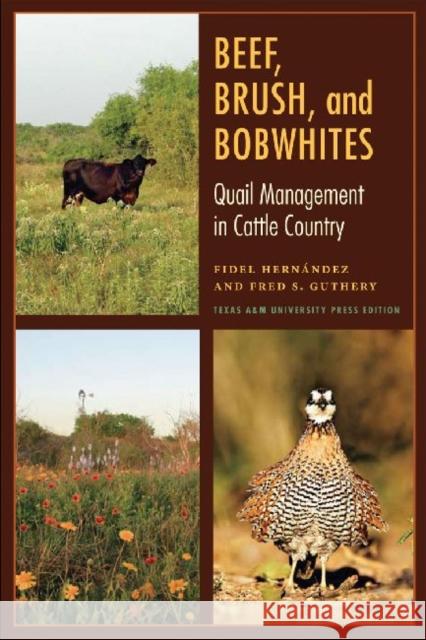 Beef, Brush, and Bobwhites: Quail Management in Cattle Country Fidel Hernandez Fidel Hernndez Fred S. Guthery 9781603444750