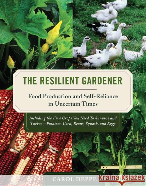 The Resilient Gardener: Food Production and Self-Reliance in Uncertain Times Deppe, Carol 9781603580311 Chelsea Green Publishing Co