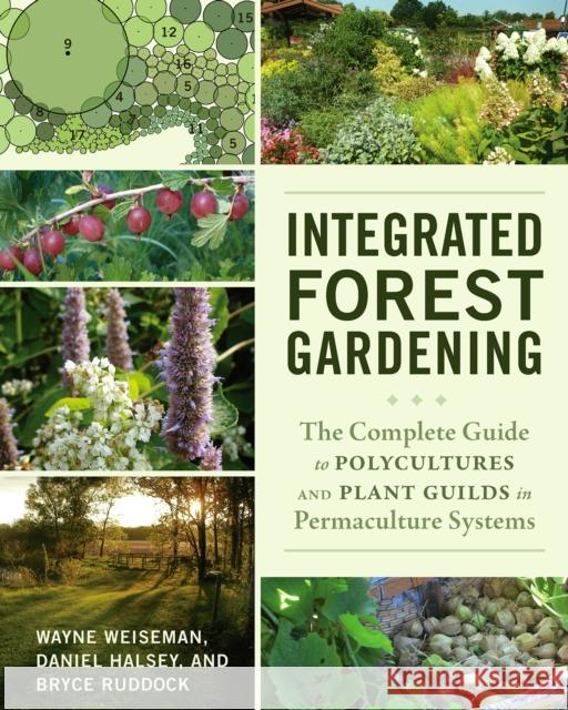 Integrated Forest Gardening: The Complete Guide to Polycultures and Plant Guilds in Permaculture Systems Weiseman, Wayne 9781603584975 Chelsea Green Publishing Company