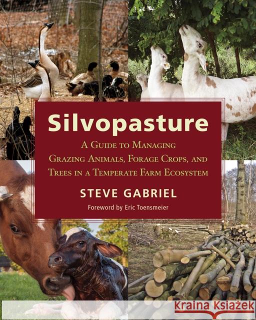 Silvopasture: A Guide to Managing Grazing Animals, Forage Crops, and Trees in a Temperate Farm Ecosystem Steve Gabriel Eric Toensmeier 9781603587310 Chelsea Green Publishing Company