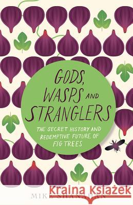 Gods, Wasps and Stranglers: The Secret History and Redemptive Future of Fig Trees Mike Shanahan 9781603587976 Chelsea Green Publishing Company