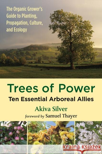 Trees of Power: Ten Essential Arboreal Allies Akiva Silver Samuel Thayer 9781603588416 Chelsea Green Publishing Company