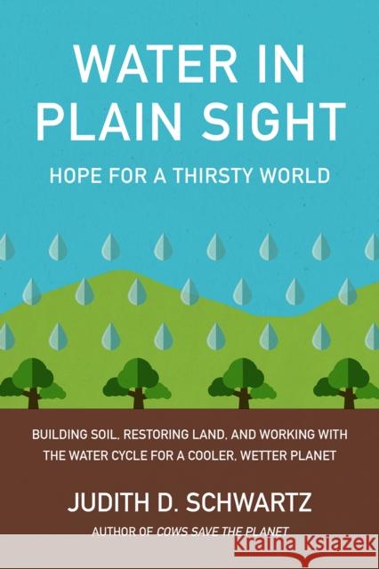 Water in Plain Sight: Hope for a Thirsty World Judith Schwartz 9781603589161