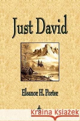 Just David H. Porter Eleano Mason Grose Hele 9781603863285 Watchmaker Publishing