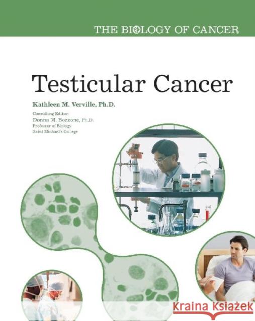 Testicular Cancer Ph. D. Kathlee Donna M. Bozzone 9781604131666 Chelsea House Publishers