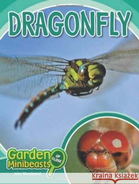 Dragonfly John Woodward 9781604138986 Chelsea House Publications