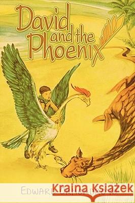 David and the Phoenix Edward Ormondroyd 9781604442434