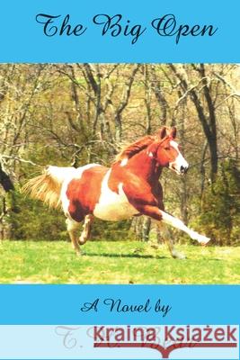 The Big Open T. H. Bear 9781604521733 Bluewaterpress LLC