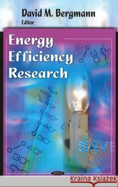 Energy Efficiency Research David M Bergmann 9781604564617 Nova Science Publishers Inc