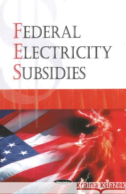 Federal Electricity Subsidies Government Accountability Office 9781604567694 Nova Science Publishers Inc
