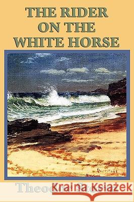 The Rider on the White Horse Theodor Storm 9781604597417 Smk Books