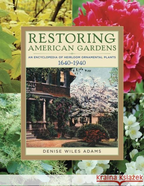 Restoring American Gardens: An Encyclopedia of Heirloom Ornamental Plants, 1640-1940 Adams, Denise Wiles 9781604690804 Timber Press (OR)