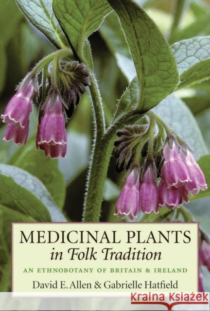 Medicinal Plants in Folk Tradition: An Ethnobotany of Britain & Ireland Allen, David 9781604694291 Timber Press (OR)