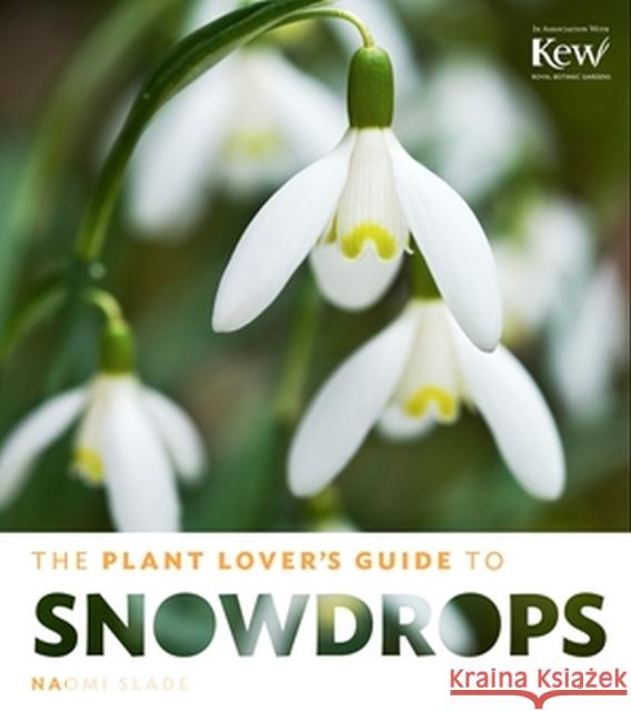 The Plant Lover's Guide to Snowdrops Naomi Slade 9781604694352 Timber Press (OR)