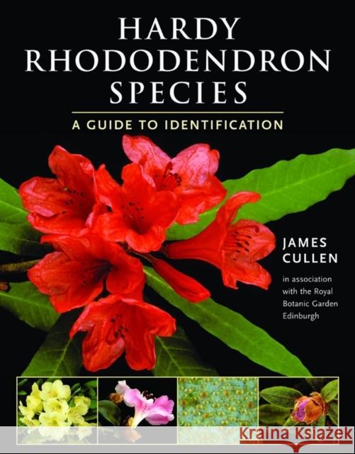 Hardy Rhododendron Species: A Guide to Identification Cullen, James 9781604694468 Timber Press (OR)
