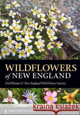 Wildflowers of New England Ted Elliman The New England Wildflower Society 9781604694642 Timber Press (OR)