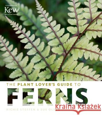 The Plant Lover's Guide to Ferns Richie Steffen Sue Olsen 9781604694741 Timber Press (OR)