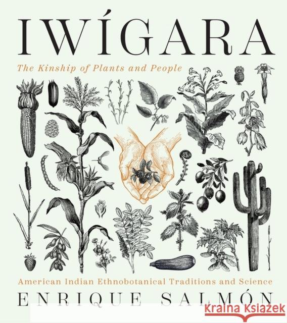 Iwígara: American Indian Ethnobotanical Traditions and Science Salmón, Enrique 9781604698800 Timber Press (OR)