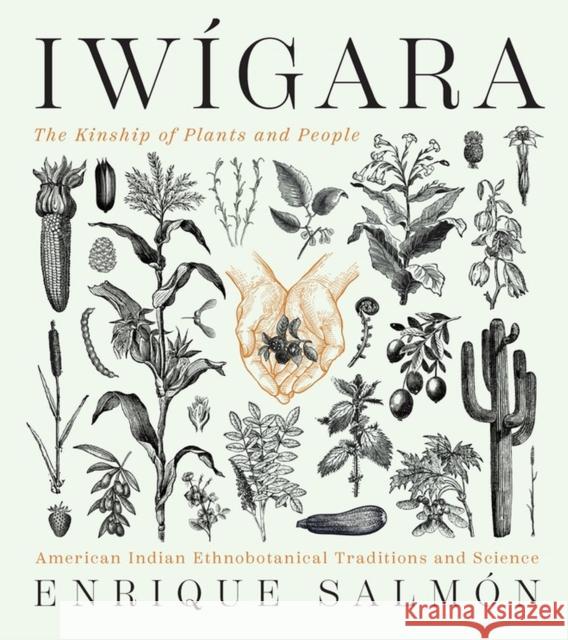 Iwigara: American Indian Ethnobotanical Traditions and Science Enrique Salmon 9781604698800 Timber Press (OR)