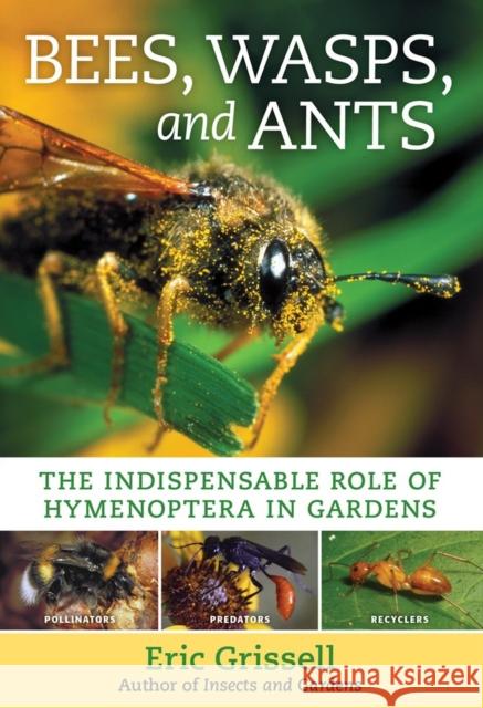 Bees, Wasps, and Ants: The Indispensable Role of Hymenoptera in Gardens Eric Grissell 9781604699104 Timber Press (OR)