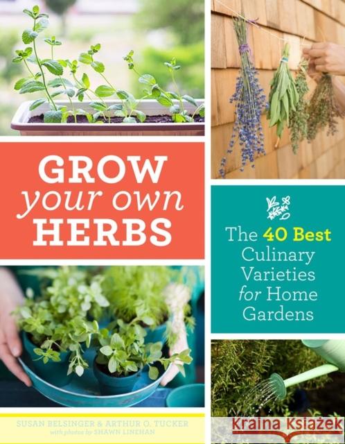 Grow Your Own Herbs: The 40 Best Culinary Varieties for Home Gardens Susan Belsinger Arthur O. Tucker Shawn Linehan 9781604699296