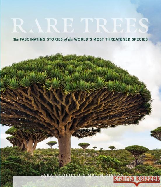 Rare Trees: The Fascinating Stories of the World's Most Threatened Species Malin Rivers 9781604699524 Workman Publishing