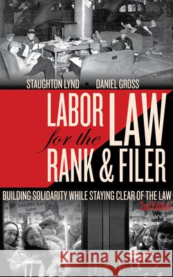 Labor Law for the Rank & Filer: Building Solidarity While Staying Clear of the Law Daniel Gross Staughton Lynd 9781604864199 PM Press