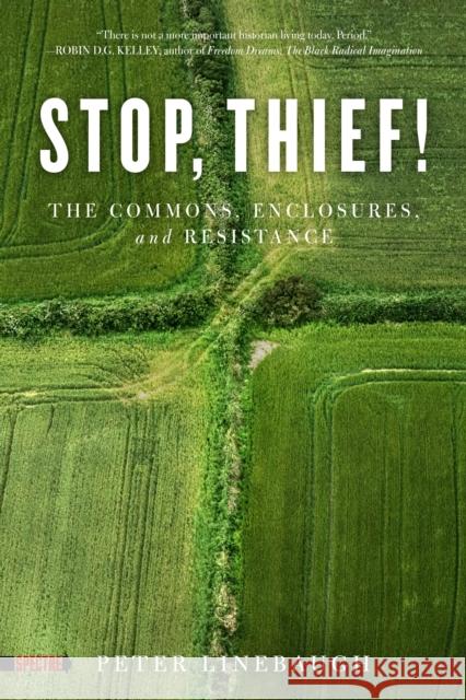 Stop, Thief!: The Commons, Enclosures, And Resistance Peter Linebaugh 9781604867473 PM Press