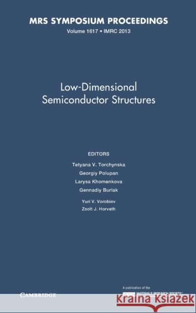 Low-Dimensional Semiconductor Structures: Volume 1617 Tetyana V. Torchynska Georgiy Polupan Larysa Khomenkova 9781605115948 Materials Research Society