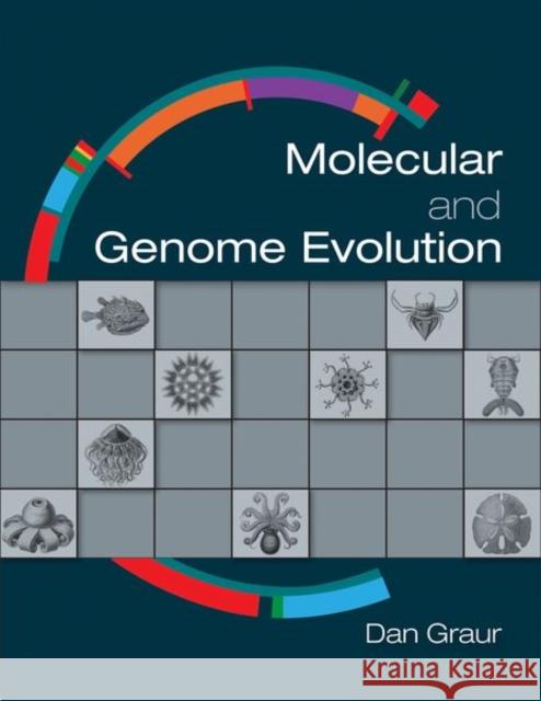 Molecular and Genome Evolution Dan Graur   9781605354699 Sinauer Associates Inc.,U.S.