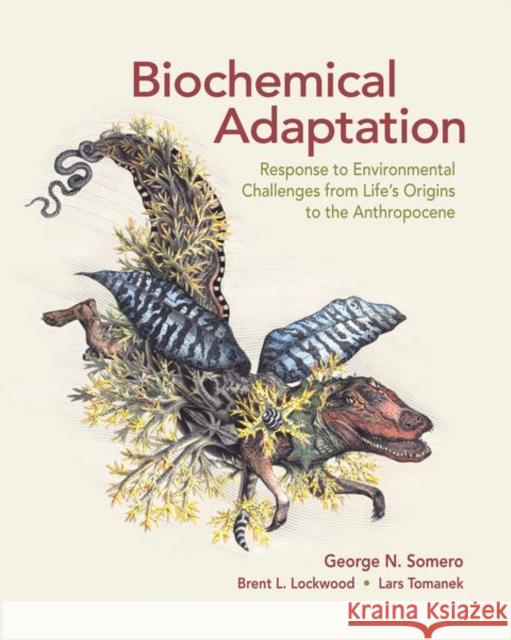 Biochemical Adaptation: Response to Environmental Challenges from Life's Origins to the Anthropocene Somero, George N. 9781605355641