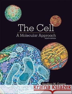 The Cell: A Molecular Approach Geoffrey Cooper 9781605357072