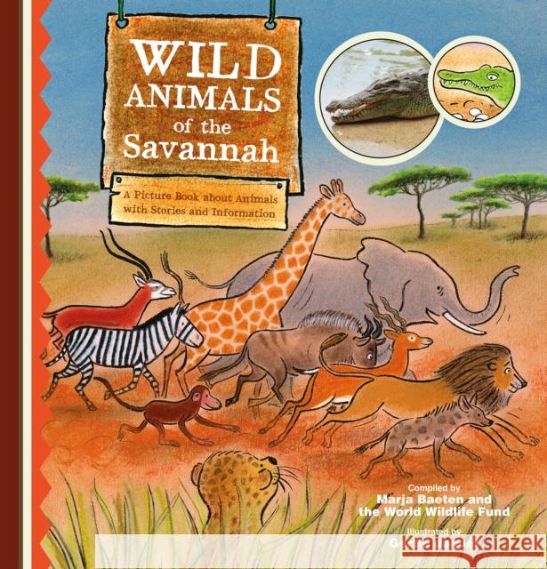 Wild Animals of the Savannah. a Picture Book about Animals with Stories and Information  9781605376349 Clavis