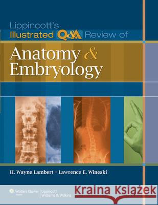 Lippincott's Illustrated Q&A Review of Anatomy and Embryology Wayne Lambert 9781605473154 Lippincott Williams and Wilkins