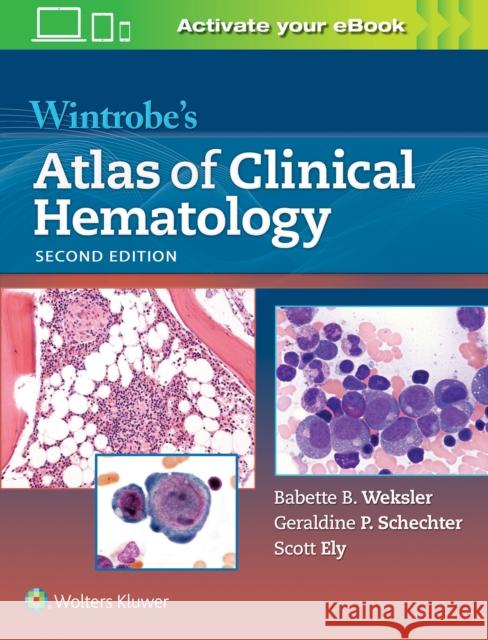 Wintrobe's Atlas of Clinical Hematology Douglas C. Tkachuk 9781605476148 Lippincott Williams & Wilkins