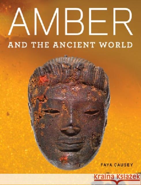 Amber and the Ancient World Causey, Faya 9781606060827