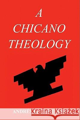 A Chicano Theology Andrs G. Guerrero 9781606082355