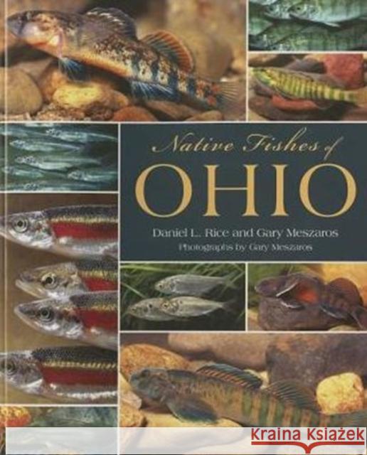 Native Fishes of Ohio Daniel L. Rice 9781606352083